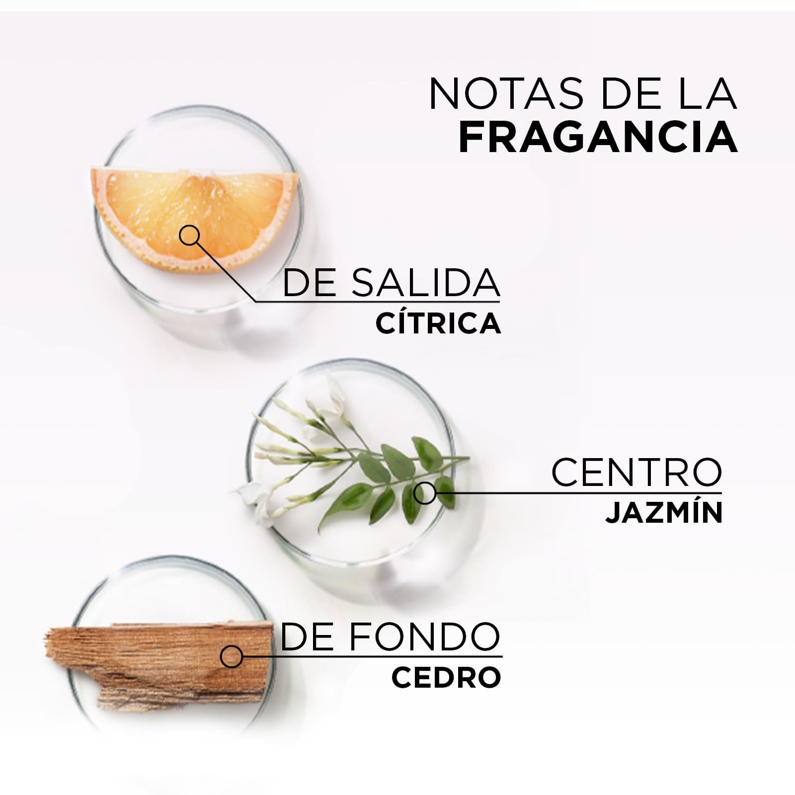 20230110digitalelviveglycolicglossrangelatambenefitsslider5BTF02nadmiimagemobilenanocta